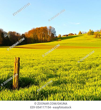 Swiss farmhouse surrounded by forests and plowed fields early in the morning. Agriculture in Switzerland, arable land and pastures