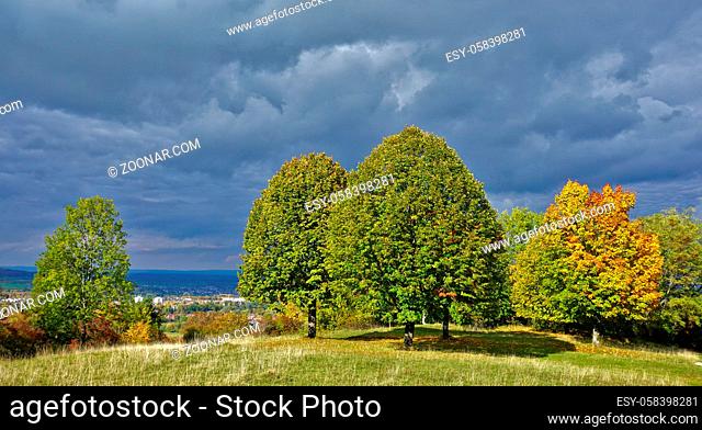 Bunte Herbstfärbung von Linden und Ahorn vor dunkel bewöltktem Himmel, Colorful autumn coloration of lime trees and maples in a dark cloudy sky