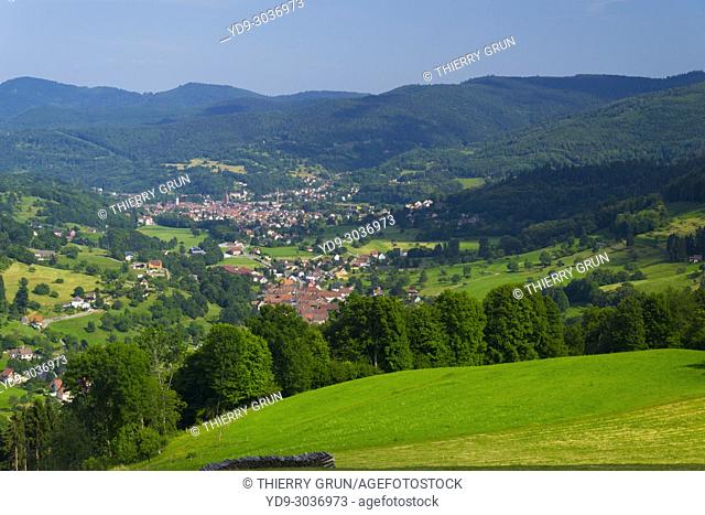 France, Haut-Rhin (68), Rional natural park of Ballons des Vosges, Munster valley, view from Soultzeren village