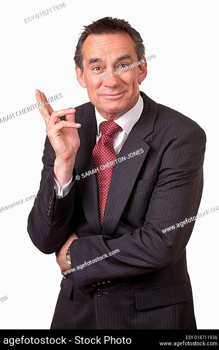 Attractive Grinning Middle Age Business Man in Suit about to Laugh