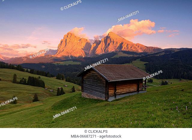 Seiser Alm, Trentino alto Adige district, Italy, Europe