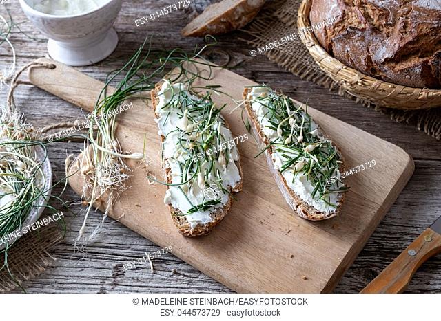 Sourdough bread with cottage cheese and wild allium vineale, or crow garlic, on a table