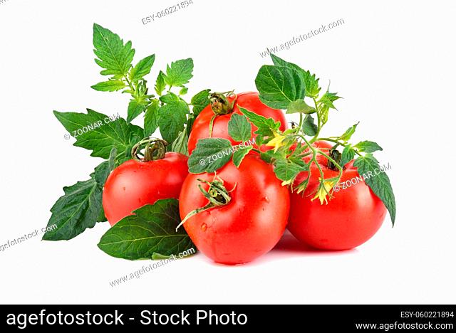 Ripe tomatoes with green leaves and flowers on white background