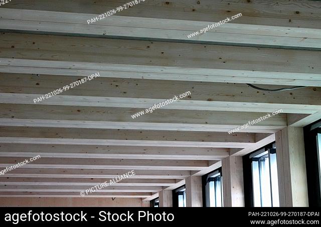 26 October 2022, Hesse, Frankfurt/Main: Beams made of spruce wood are installed in the ceiling of an office building in Frankfurt's Europaviertel district