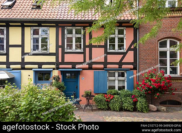 23 June 2021, Mecklenburg-Western Pomerania, Stralsund: Roses bloom in front of a residential building at the Johanniskloster