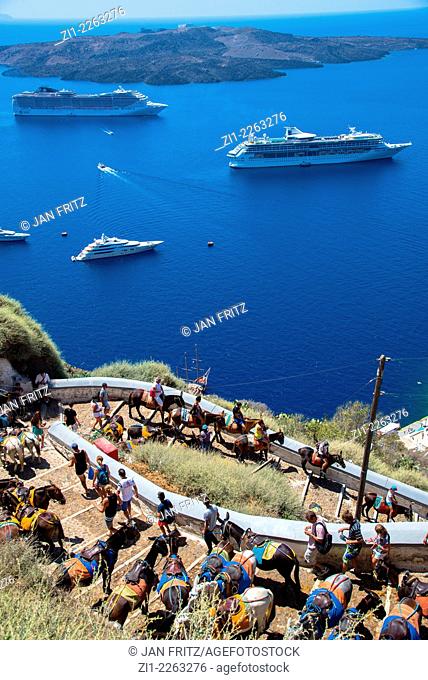 donkeys with tourists on their back on their way up from the harbour and passenger ships seen from Santorini island in Greece