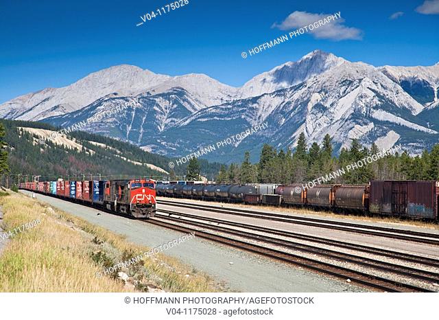 Freight train in the Jasper National Park in Alberta, Canada
