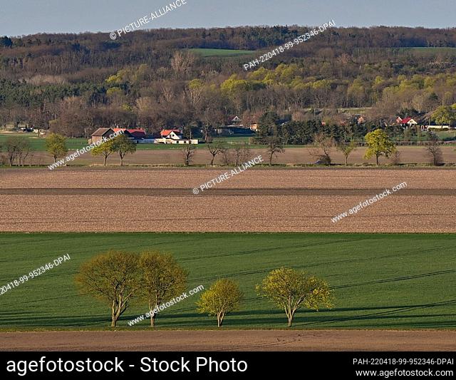 17 April 2022, Brandenburg, Mallnow: View from a hill at the edge of the Oderbruch. The area between Lebus on the Oder and Mallnow on the edge of the Oderbruch...