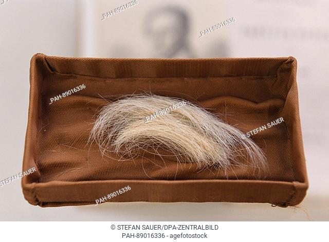 ILLUSTRATION - A lock of hair from Ernst Moritz Arndt can be seen at the Ernst-Moritz-Arndt-Museum in Garz, Germany, 9 March 2017