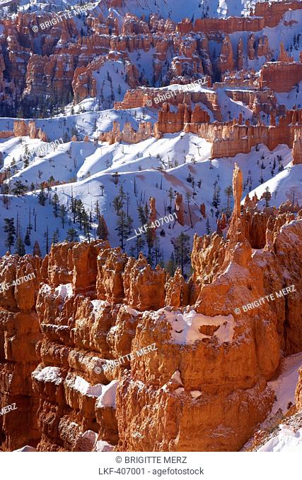 View from Sunset Point into Bryce Amphitheater, Bryce Canyon National Park, Utah, USA, America