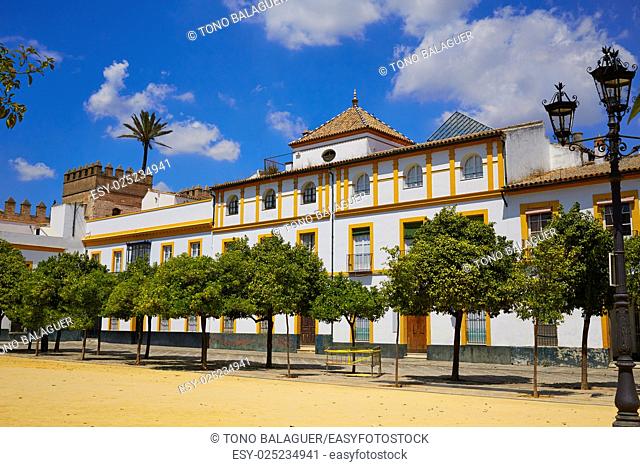 Seville Real Alcazar patio de Banderas Sevilla spain andalusia