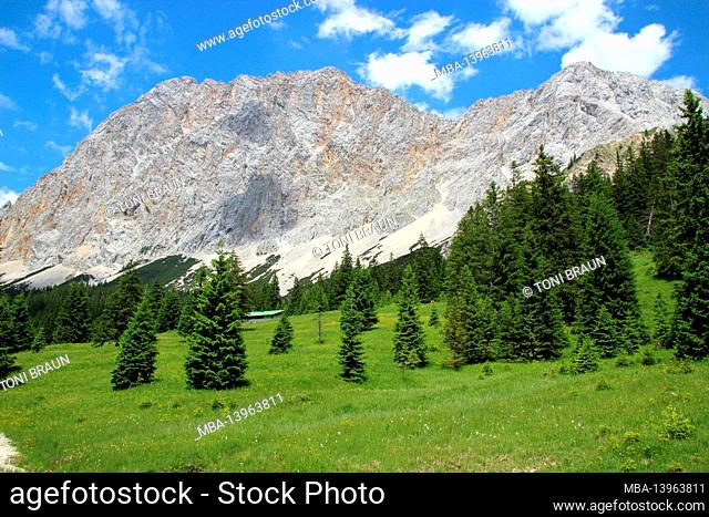 View, Ehrwalder Alm, Ehrwalder Bergbahn, Austria, Tyrol, Ehrwald, Zugspitze (2962 m)