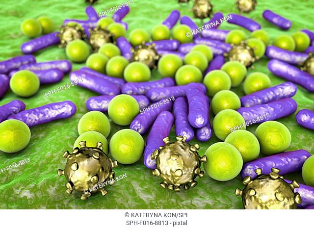 Various microbes of different shapes, computer illustration. Mixture of microorganisms including spherical (cocci) and rod-shaped bacteria together with viruses