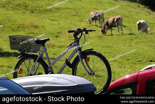 18 July 2020, Bavaria, Rettenberg: Cows graze behind the fully occupied parking lot of Alpe Kammeregg. Photo: Karl-Josef Hildenbrand/dpa