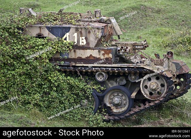 Tank target on military firing range, overgrown with brambles (Rubus fruticosus), Dorset, England, United Kingdom, Europe