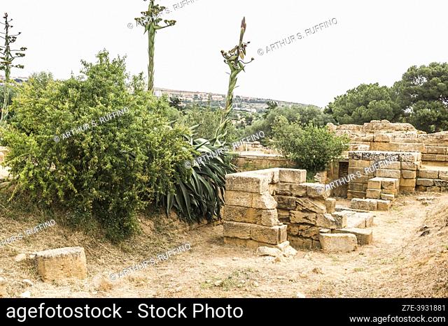 Archaeological ruins. Valley of the Temples, Agrigento, Sicily, Italy