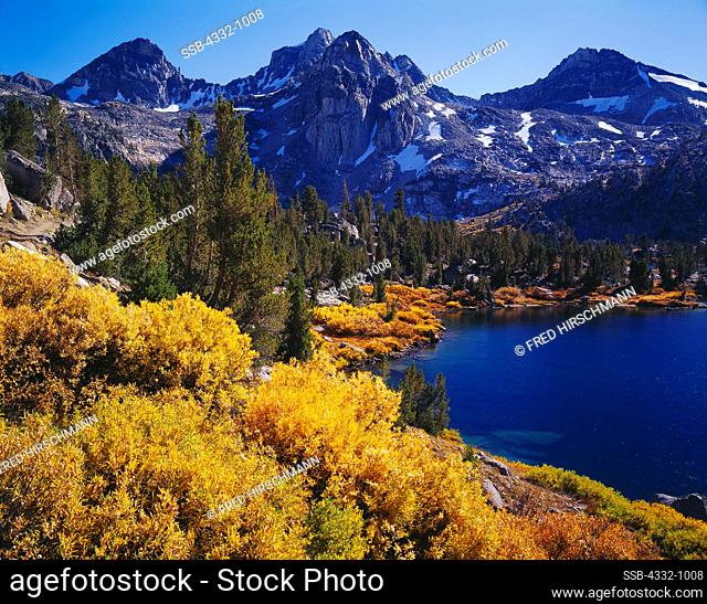 Autumn colors of willows growing with whitebark pines along the shore of Rae Lakes, Painted Lady and Mount Rixford beyond, Sierra Nevada