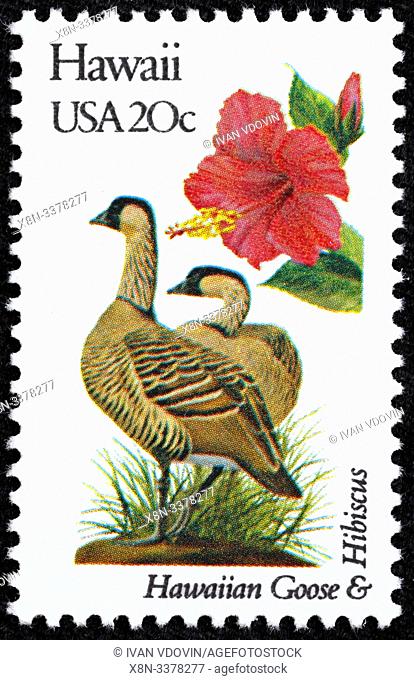 Hawaii, HI, Hawaiian goose, Branta sandvicensis, Hawaiian hibiscus, Hibiscus brackenridgei, state bird and flower, postage stamp, USA, 1982