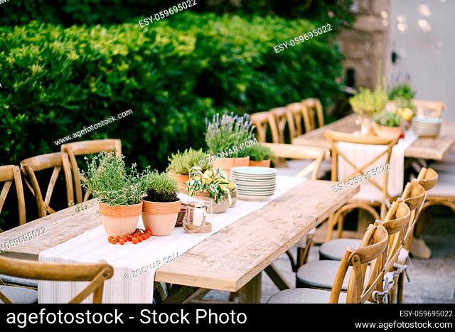 Ancient rectangular wooden tables with rag runner, wooden vintage chairs, lavender pots, cherry tomatoes and clay pots with lemons on tables