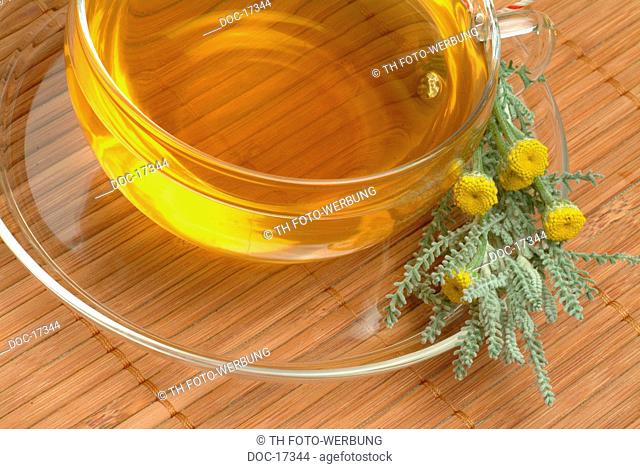 Lavender cotton - medicinal plant - herb - medicinal tea - Santolina chamaecyparisus - Cameciparisso - te - t medicinale