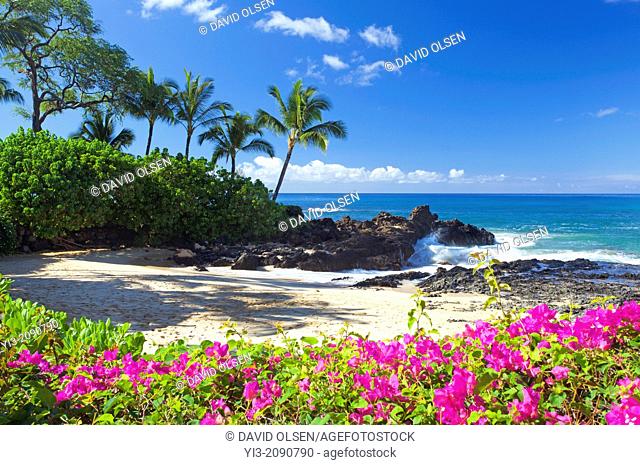 Flowers at Secret Beach, Maui, Hawaii