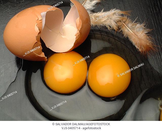 egg of two yolks, location girona, catalonia, spain
