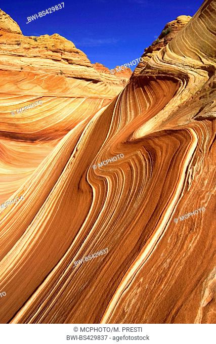 sandstone formations in Vermilion Cliffs National Monument, USA, Arizona, Vermilion Cliffs National Monument