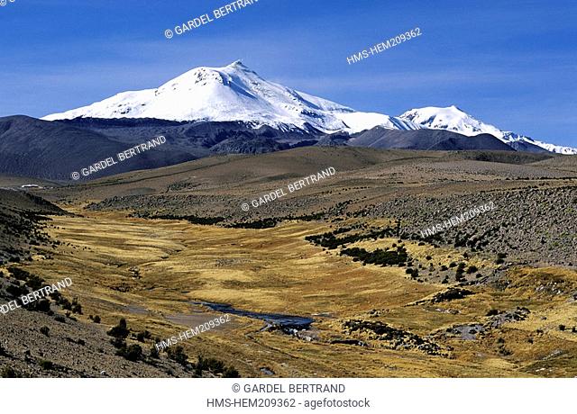 Chile, Tarapaca region, Parinacota province, Lauca National Park, listed Reserve Biosphere by UNESCO