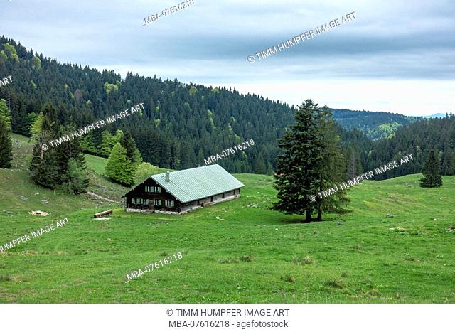 Germany, Bavaria, Benediktbeuern, Alpine pasture in ascent to Tutzinger HÃ¼tte