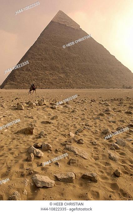 pyramids, Gizeh, Chephren pyramid, camel, camel rider, Cairo, Egypt, North Africa