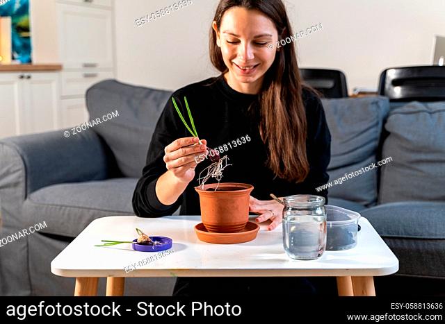 Young millennial woman planting onion herbs at home in a pot. Home gardening hobby. Zero waste sustainable lifestyle. Healthy clean food