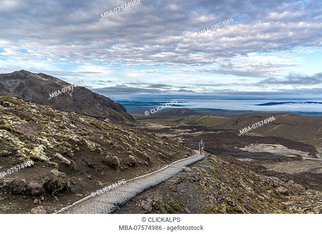 Hiker walking on the track of Tongariro Alpine Crossing, Tongariro NP, North Island, New Zealand
