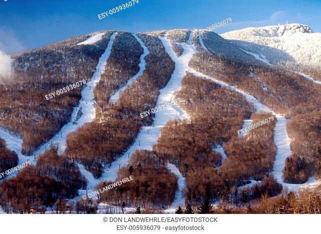 Ski trails at Mt. Mansfield, Stowe Mountain Resort, Stowe, Vermont