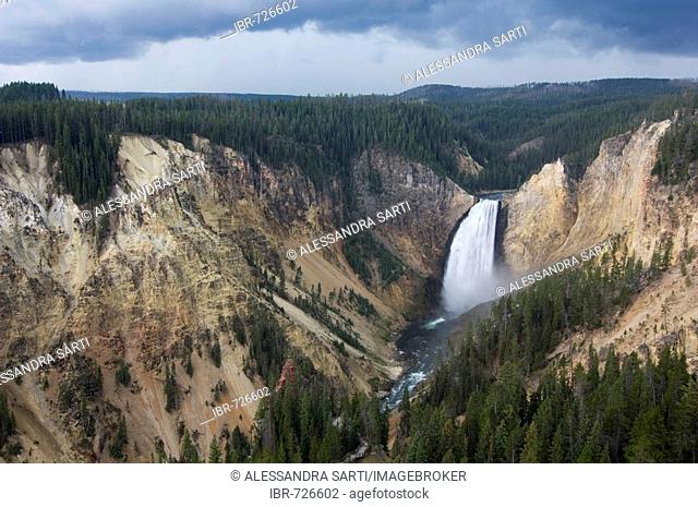 View of Lower Falls, Grand Canyon of the Yellowstone, Yellowstone National Park, Wyoming, USA