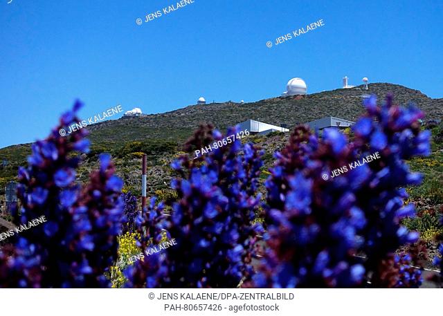 View of the Roque de los Muchachos Observatory on the canary island La Palma, Spain, 23 May 2016. Several observatories of different European countries in the...