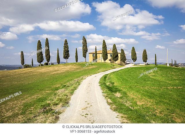 Solitary house with cipresses near Pienza, Tuscany, Italy