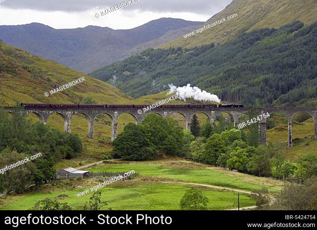 Steam Railway, Railway Viaduct, Glenfinnan, Highland, Scotland, Museum Train, The Jacobite, Harry Potter, Glenfinnan Viaduct