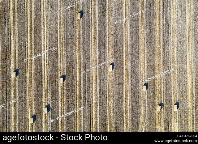 Bales of straw and abstract patterns in cornfield after wheat harvest. In the Campiña Cordobesa, the fertile rural area south of the town of Córdoba