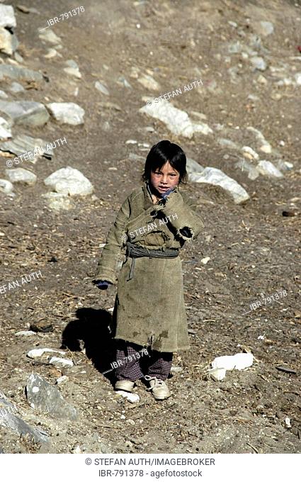 Small girl dressed in dirty sack cloth, Jhunum Nar-Phu, Annapurna Region, Nepal, Asia