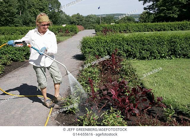 Canada, Quebec City, Parc du Bois de Coulonge, public park, female employee, watering plants, hose