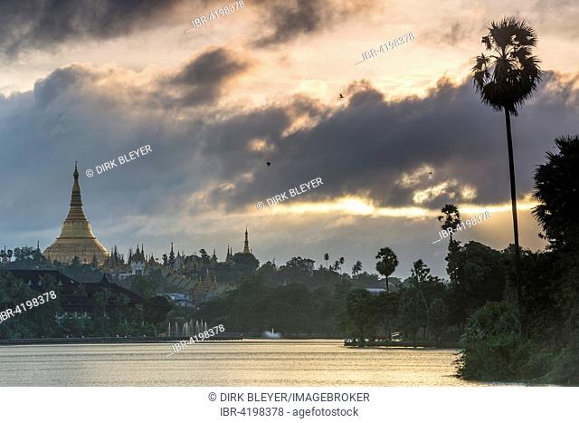 Golden stupa at sunset, chedi, Shwedagon Pagoda, Kandawgyi Lake, Kandawgyi Nature Park, Yangon or Rangoon, Yangon Region, Myanmar