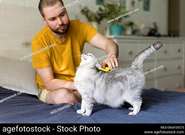 Man brushing cat sitting on bed at home