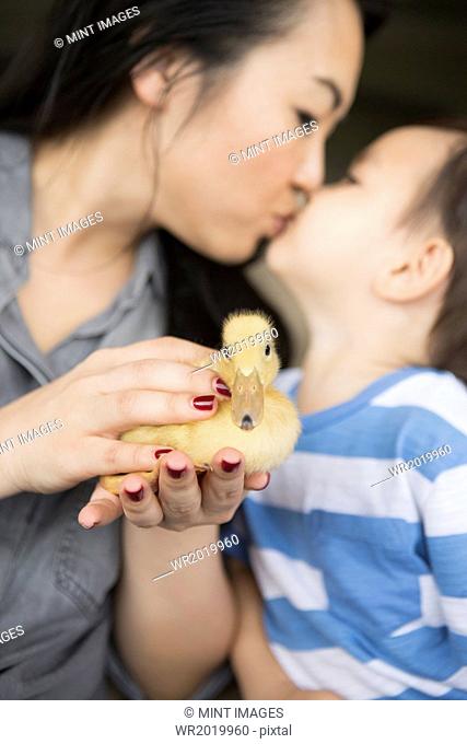 Woman holding a yellow duckling in her hands, kissing her young son