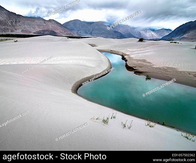 Sand dunes of Nubra Valley with river and desert plant. Himalaya mountains landscape. India, Ladakh, altitude 3100 m