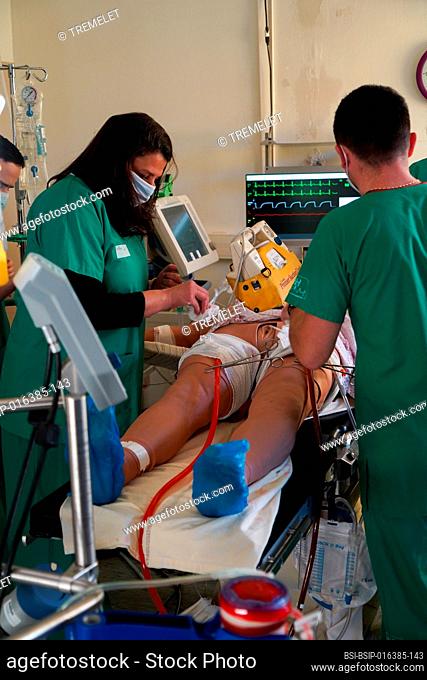 Training of medical interns in the ECMO technique, Extracorporeal Membrane Oxygenation