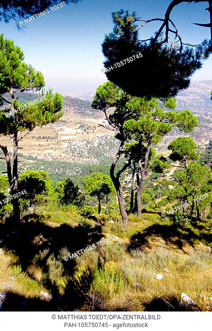 Wooded mountain slopes above Beirut in the Lebanon Mountains, undated analogue image from August 1993. Photo: Matthias Toedt / dpa-Zentralbild / ZB / Picture...