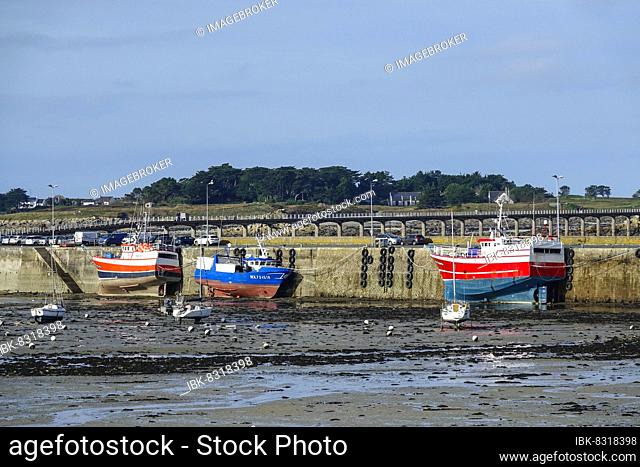 Fishing boat in Roscoff harbour at low tide, Finistere Penn ar Bed department, Bretagne Breizh region, France, Europe