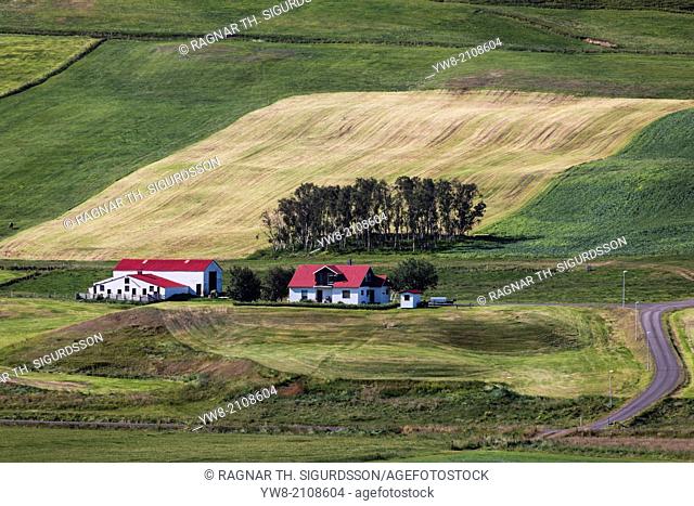 Farmland, Northern, Iceland