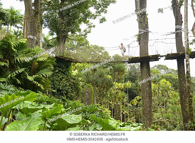 France, Martinique (French West Indies), Balata, Balata Gardens, Botanical Garden of tropical plants Young woman crossing a suspension bridge