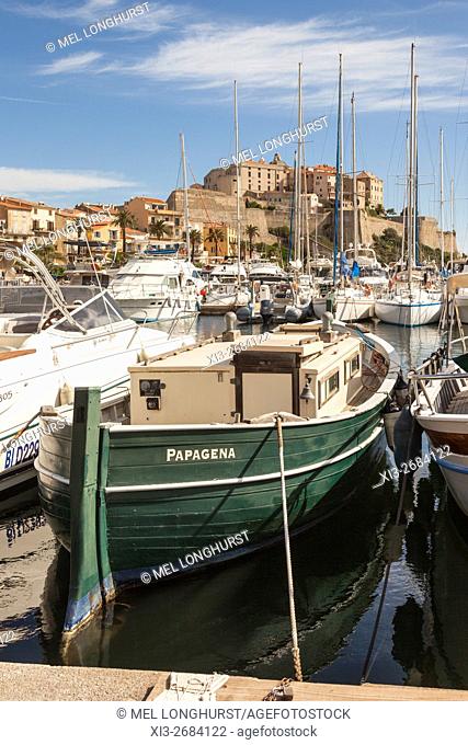 View of the Citadel from the harbour, Calvi, Haute-Corse, Corsica, France
